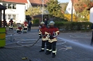 Leistungsprüfung 2017_24