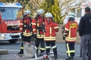 Leistungsprüfung 2017_25