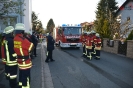 Leistungsprüfung 2017_37