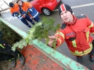Weihnachtsbaumsammeln 2017