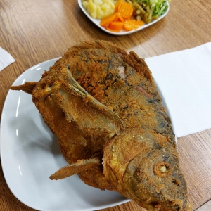 Die Frisch gebacken Karpfen aus eigener Zucht